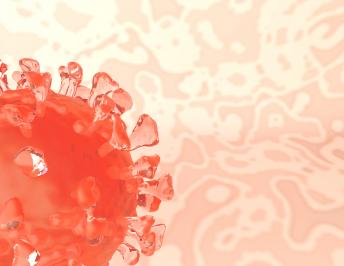 Coronavirus, Oms: è allarme anche per la salute mentale